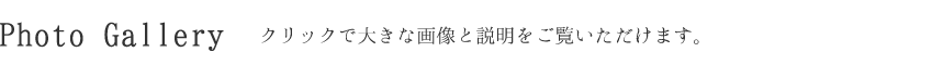 フォトギャラリー